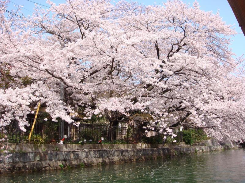 The B Kyoto Sanjo Hotel Bagian luar foto
